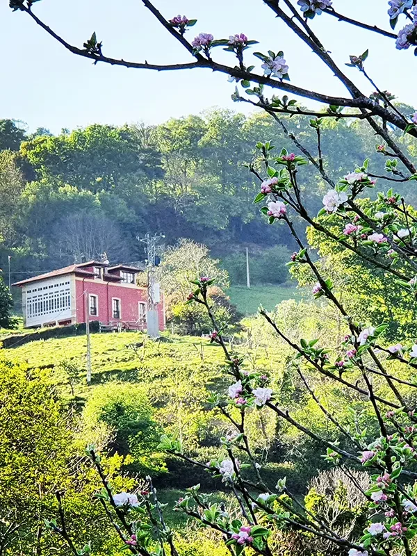 Alrededores de la Casona de Indias